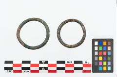 Foto von Bronzering (NHMW-PRAE-026289)